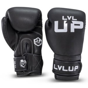 Gants de Boxe LVL UP BG 1