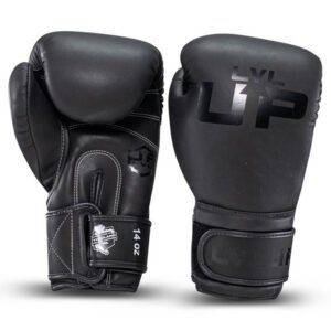 Gants de Boxe LVL UP BG 2