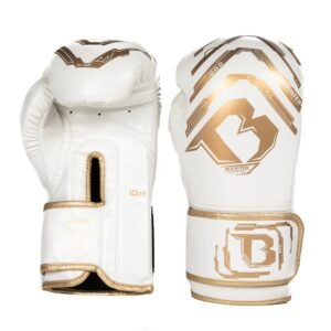 Gants de Boxe Youth Elite V2 2