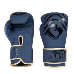 Gants de Boxe Youth Elite V2 4